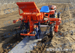 行业查询拜访：2023年全球蔬菜移栽机市场